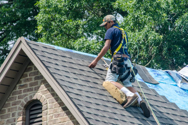 Quick and Trustworthy Emergency Roof Repair Services in View Park Windsor Hills, CA
